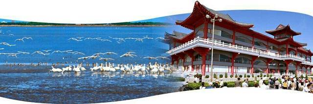 山東文旅融合新篇章 “黃河入海”與“仙境海岸”雙品牌驅動旅游發展